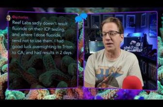 Last stream of the year!