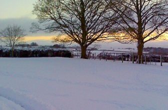 #SundayStills ~ Winter Wonderland #Photography
