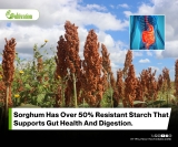 Functional Properties Of Microwave Treated Sorghum Meal With Phenolic Extracts