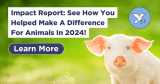Impact Report: See How You Helped Make A Difference For Animals In 2024!