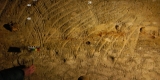 Children’s Role in Upper Paleolithic Cave Art