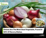 Upcycling Onion Peel In Pasta With A Focus On Nutritional, Thermal, And Storage Properties