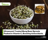 Transcriptomic Insights Into The Effect Of Ultrasonic Treatment In Mung Bean Germination