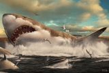 The Fearsome Megalodon Ate Basically Whatever It Wanted to Reach Its Daily 100,000-Calorie Need, Study Suggests