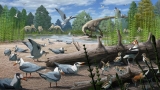 Scientists Find the First Evidence of Birds Nesting in the Arctic Alongside Dinosaurs