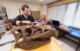 These ‘Dragon Prince’ Fossils Spent Decades in Museum Drawers. Now, They Could Rewrite the T. Rex Family Tree