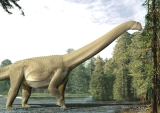 First Fossil Evidence That Sauropods Were Herbivores Supports a Widespread Assumption About the Long-Necked Dinosaurs