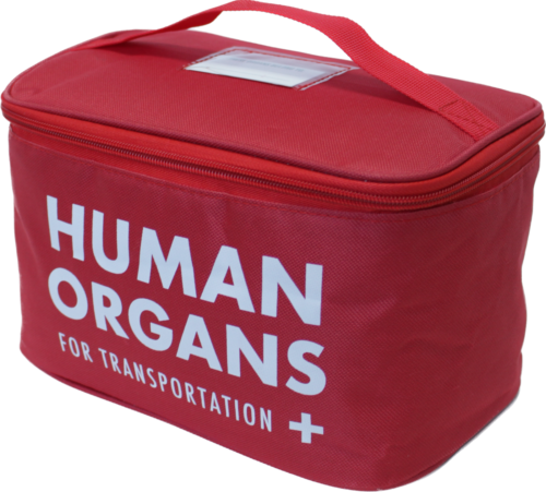 Human Organs Insulated Lunch Bag for Men – Funny Gifts for Men Work Lunch Box