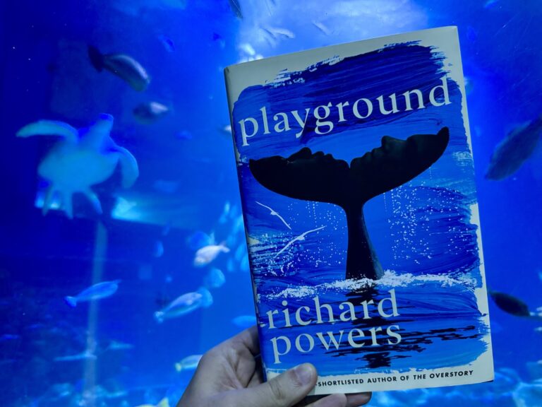 Playground by Richard Powers — Lonesome Reader