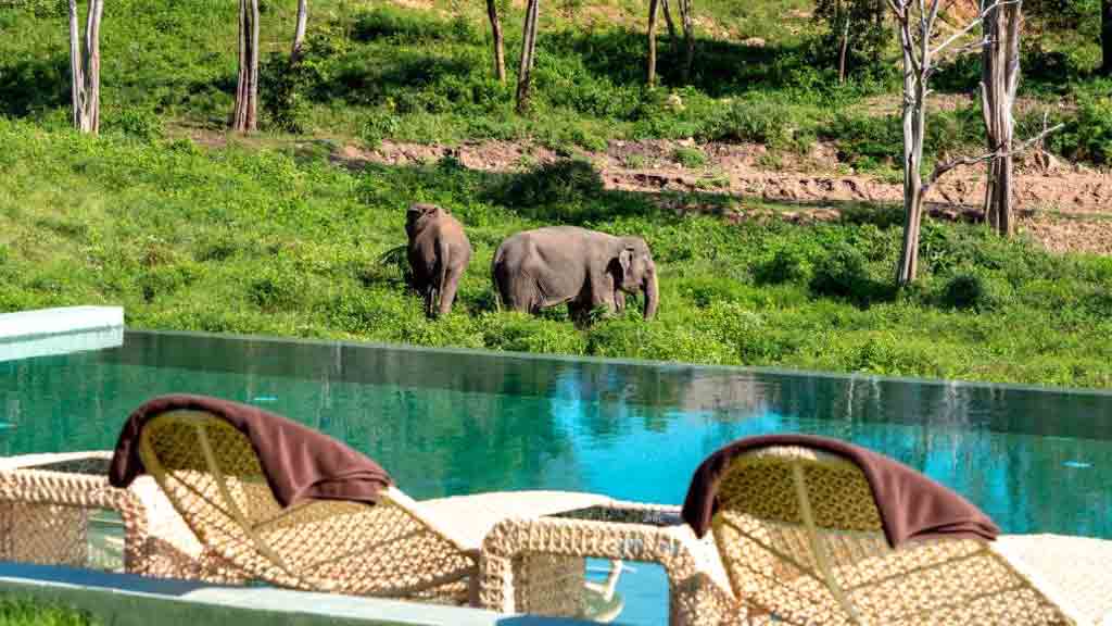 Wild Cottages Elephant Sanctuary Resort, Koh Samui
