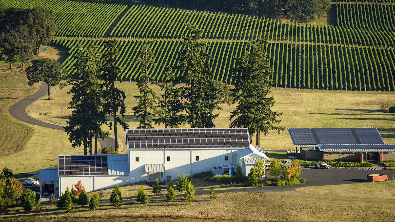  Stoller winery in Oregon with vineyards in the background