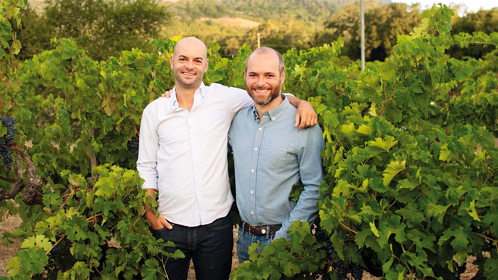  Alex, left, and Graeme Macdonald stand in their family’s parcel of old vines in Napa’s To Kalon Vineyard.