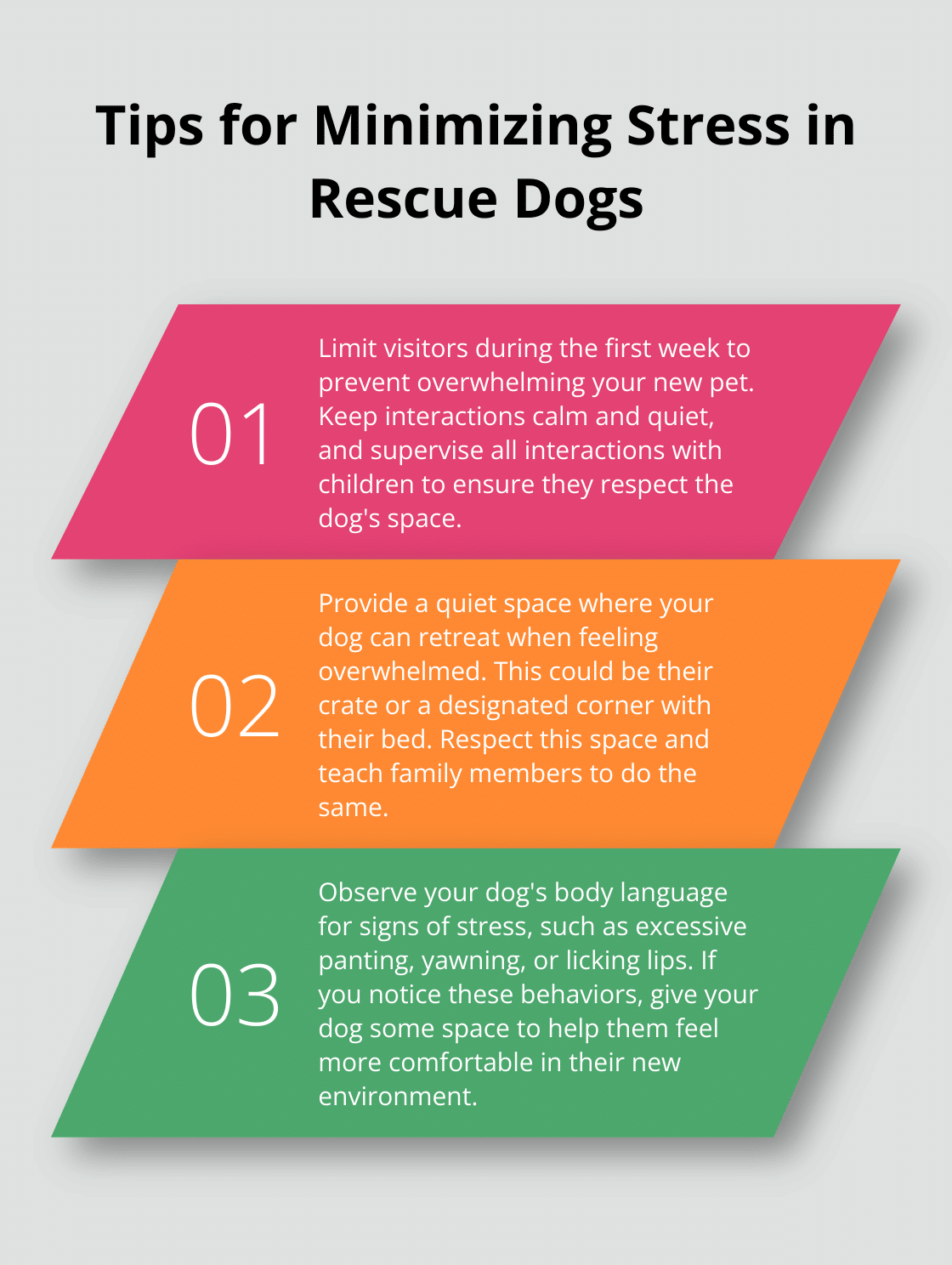 Three key tips for reducing stress and overstimulation in newly adopted rescue dogs: limit visitors, provide a quiet space, and observe body language.