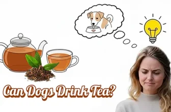 Can Dogs Drink Tea? Top 3 Risks & Safe Alternatives