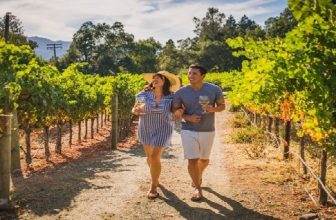 Why people should go to tasting in Napa?