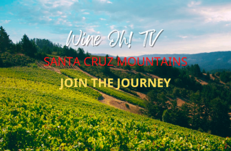 Santa Cruz Mountains | Wine Travel | Wine Region