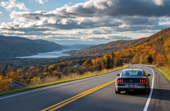 New York Auction Bidding Explained