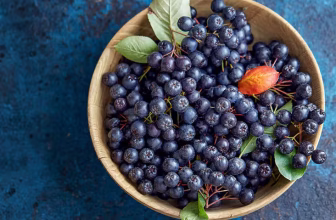 Health Benefits of Aronia Berries – Stimulife Health Blog