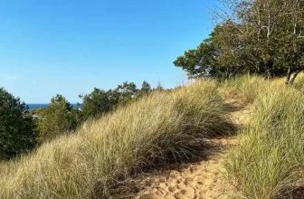 Saugatuck, MI Best Walks: Crow’s Nest Trail