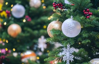 Bed Bug-Free Holiday Travel Tips