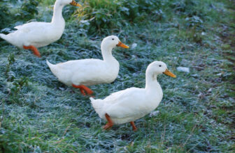 Highly Organized Leaders Aren’t Rigid | #Leadership #LeadMorale