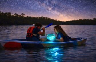 Rare Double Bioluminescence Lights Up Florida’s Space Coast Near Orlando