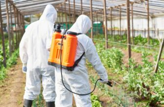 How Long After Spraying Pesticides is It Safe?