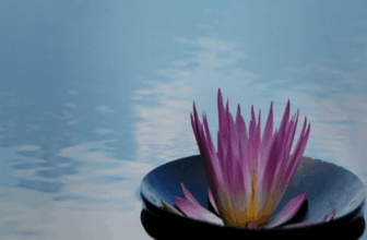 Acupuncture for an Emotional Reset