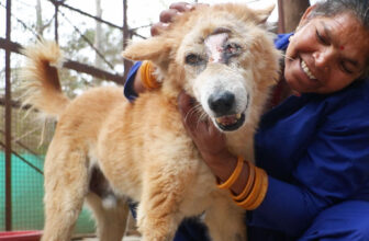 Impossible! You’ll be blown away by this boy’s recovery.