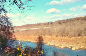 Reflections on 2020: lessons in patience & gratitude