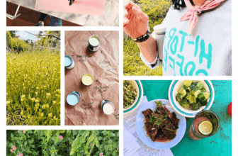 The Bakehouse Almanac, March 2026