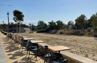 The Processuality of Publishing a Master’s Thesis – Anthropolitan