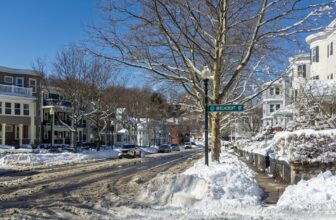 Annual Residential & Commercial Pest Pressure Trends