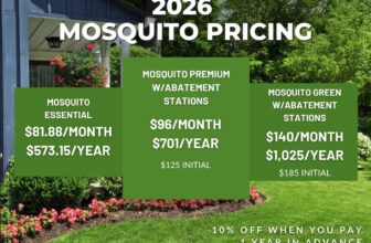 Mosquito Management: From Prevention to Professional Treatment Solutions