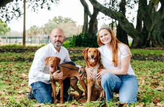 Rethinking Pet Custody in Divorce – Stephens & Stevens Marital & Family Law