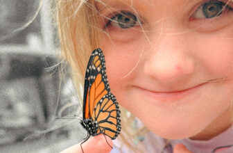 How to Raise Monarch Caterpillars (From Milkweed to Butterfly)
