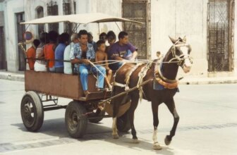 From Soviet Subsidies to Chronic Blackouts: Cuba’s Economy from the 1980s to 2026 — History is Now Magazine, Podcasts, Blog and Books