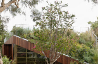 A Home Is Covered In Greenery