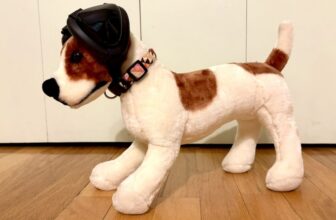 The Most Important Thing to Know about Ear Protection for Dogs