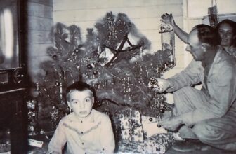 The Luthier’s Apprentice: A Christmas Story