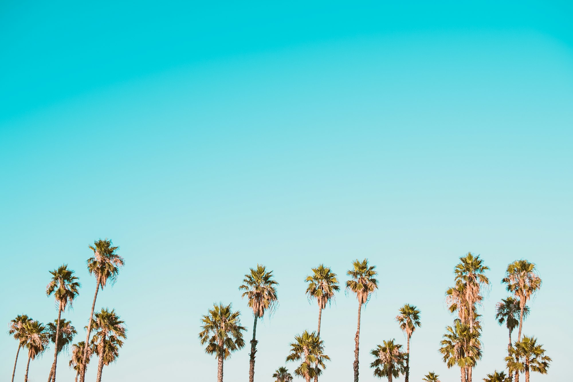 Antevia Networks and Benetel hook up for private 5G deployments