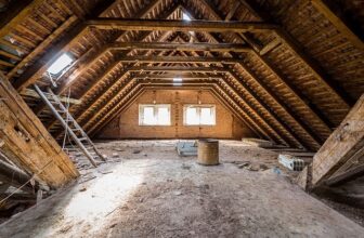 Damage Caused By Carpenter Ants UK