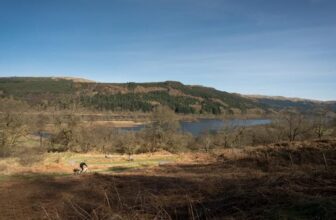 Cycling Routes in Scotland for Beginners: A Guide to Biking the National Cycle Network
