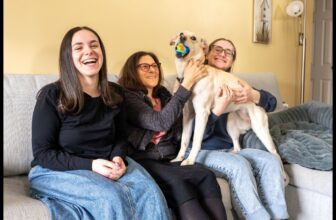 How This Abandoned Pooch Brings The Whole Family Home Together