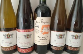 Wine Review: The Rheingau in Chile