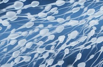 Sperm count (स्पर्म काउंट ) बढ़ाने के सबसे अच्छे तरीके क्या हैं?