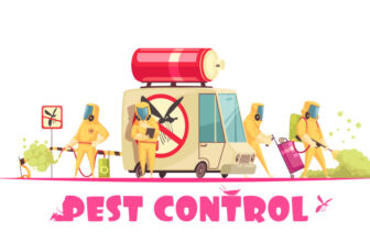 Best Pest Control Tips for Summer Season