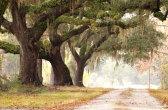 Moving to Baldwin County Alabama? 5 Mistakes to Avoid (2026 Guide)