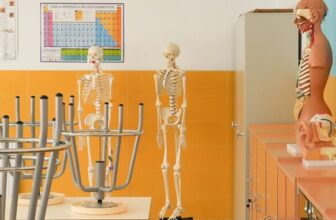 Teaching Forensic Anthropology Through Touch: Reflections on Tactile Teaching with Blind and Partially Sighted Learners
