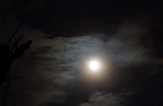 Blue Moon – Kath’s Journey
